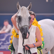 Gelding Silver Champion: El Emando (QR Marc X Emanda)