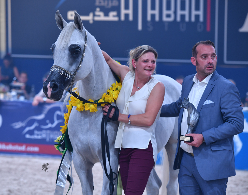 Gelding Silver Champion: El Emando (QR Marc X Emanda)