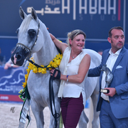 Gelding Silver Champion: El Emando (QR Marc X Emanda)
