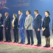 The 2016 ANC Panel of Judges