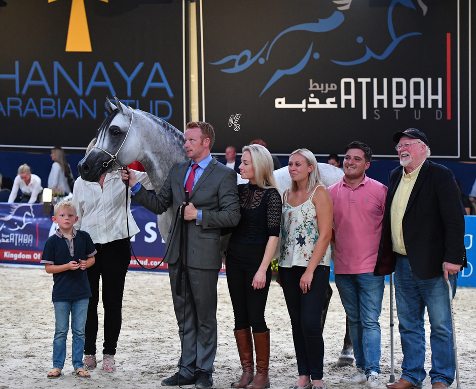 Stallions 11+: Psy Dream