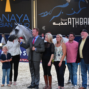 Stallions 11+: Psy Dream