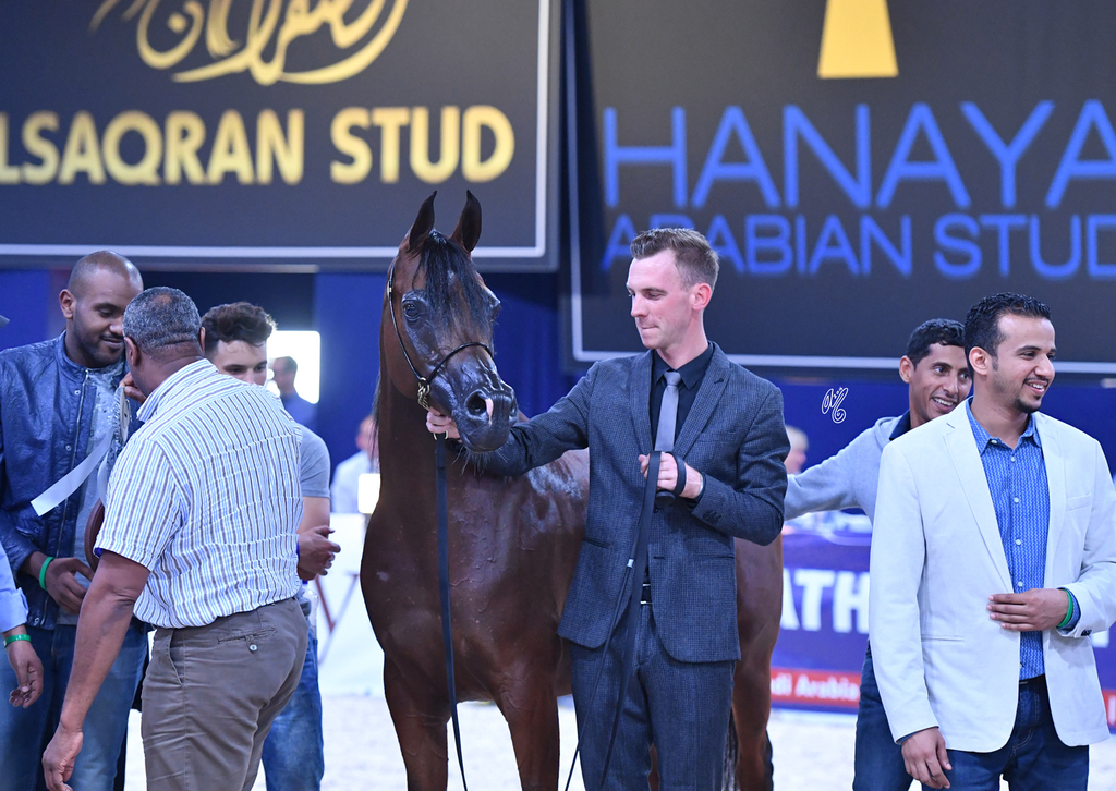  Mares 11+: Pandoraah