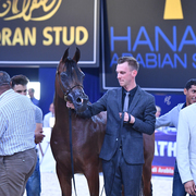  Mares 11+: Pandoraah