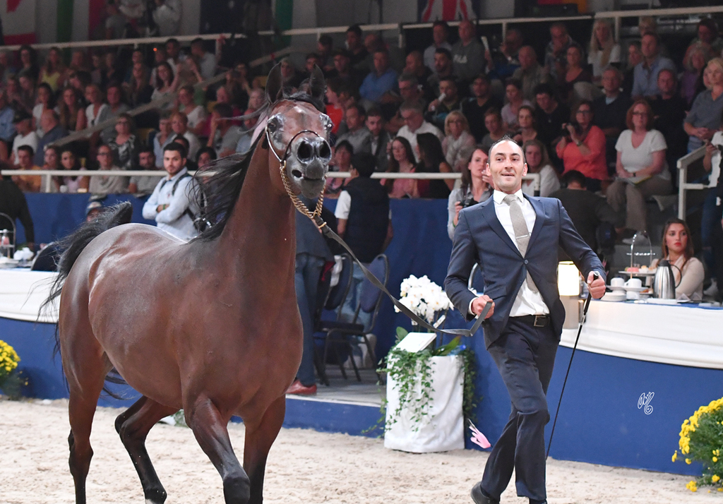 Mares 7-10: Wieza Marc'a 