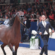 Mares 7-10: Wieza Marc'a 