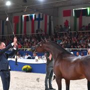 Mares 7-10: Wieza Marc'a 