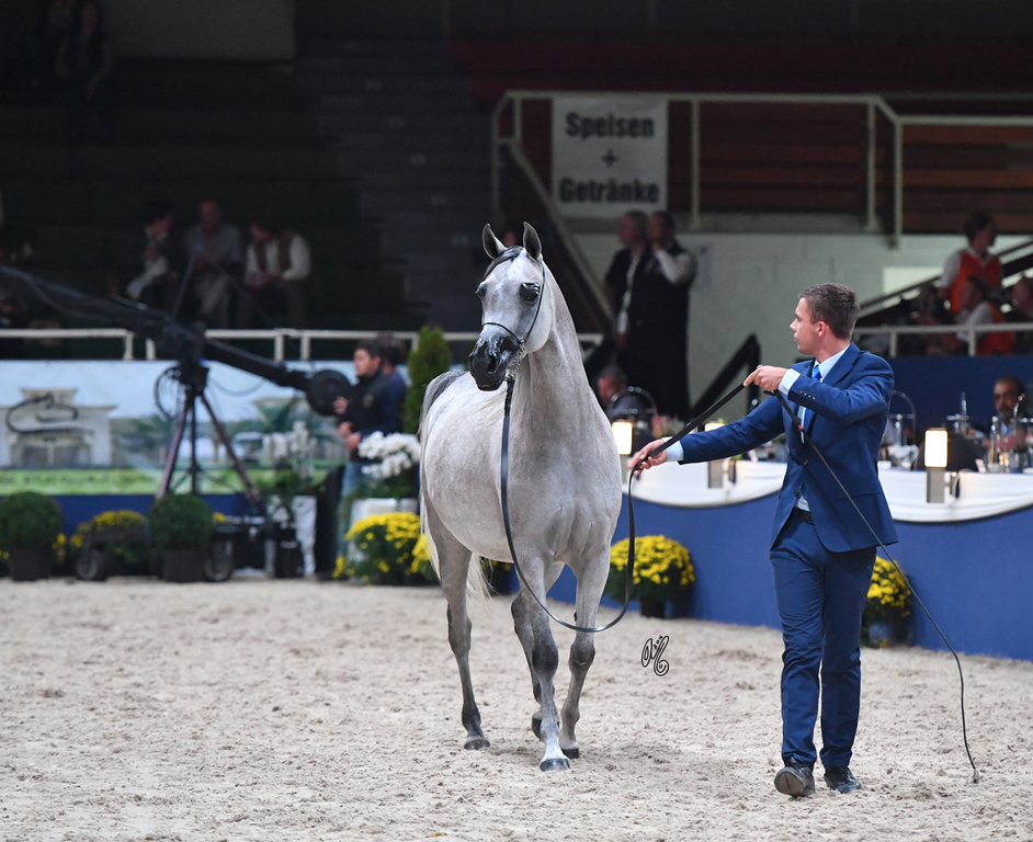 Mares 4-6: Emandorissa