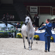 Mares 4-6: Emandorissa