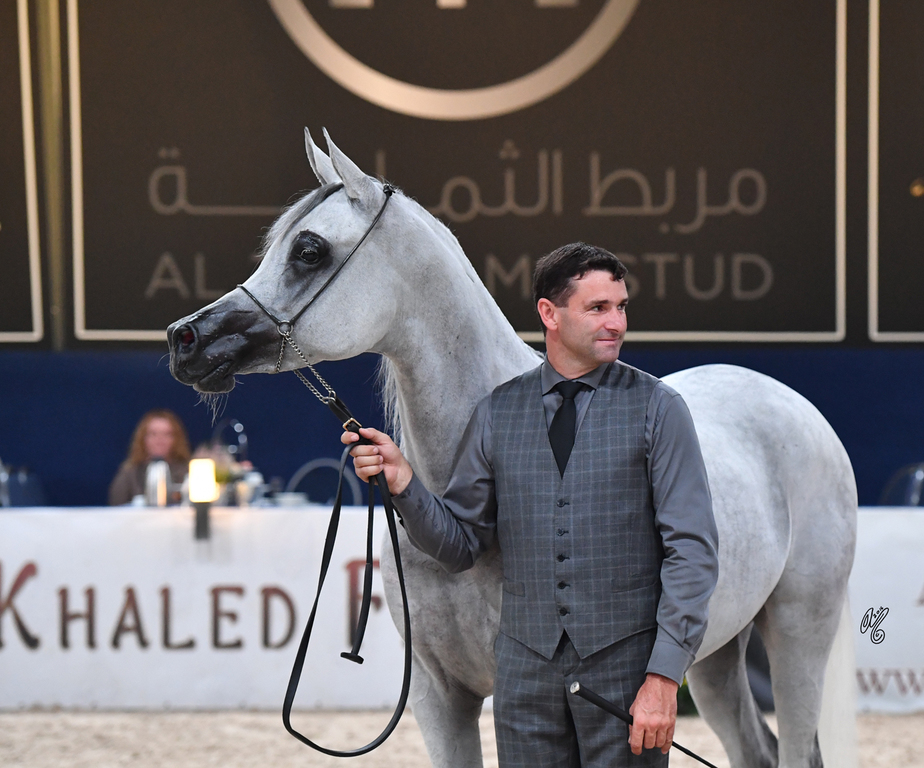 Mares 4-6: Wadad Zamani