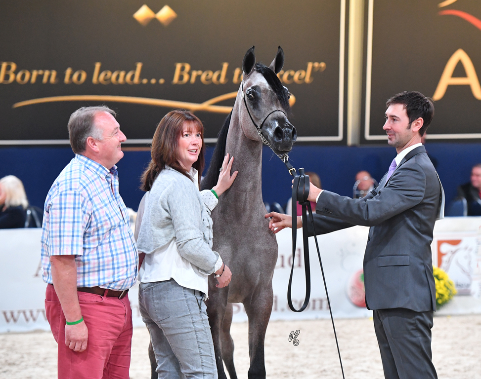Yearling Filly: AJA Caprice 