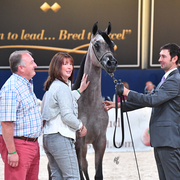 Yearling Filly: AJA Caprice 