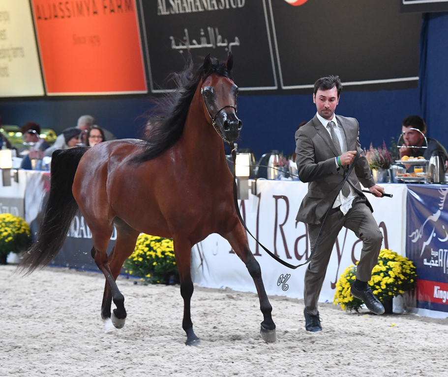 Fillies 3 Years: Emozione Al Ventur 