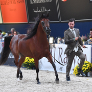 Fillies 3 Years: Emozione Al Ventur 