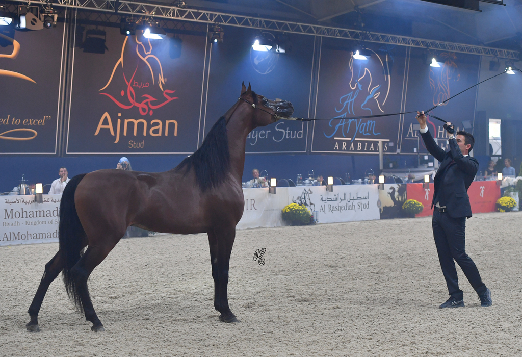 FA El Rasheem Charity Auction