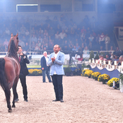 FA El Rasheem Charity Auction