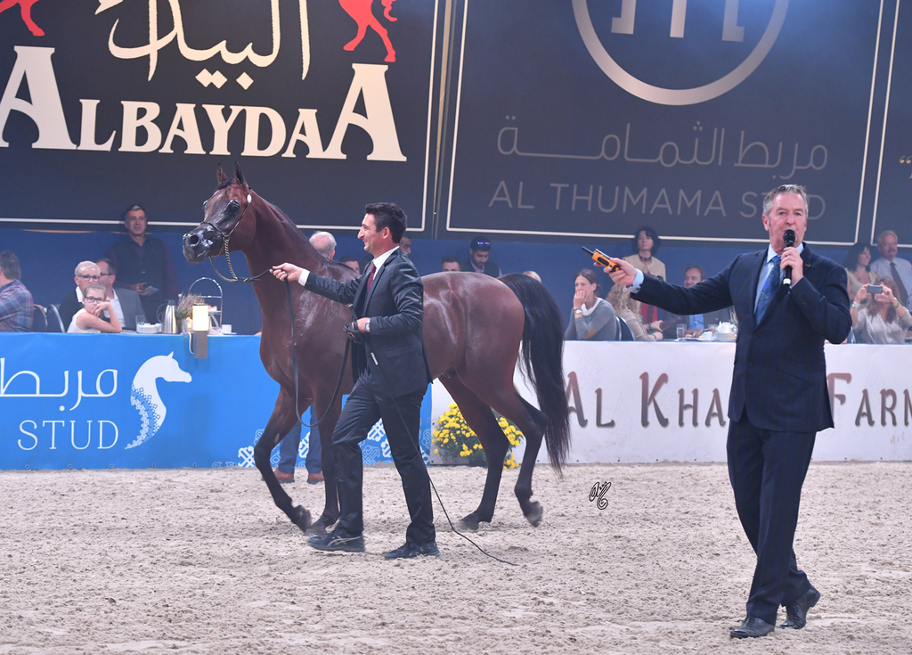 FA El Rasheem Charity Auction