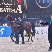 FA El Rasheem Charity Auction