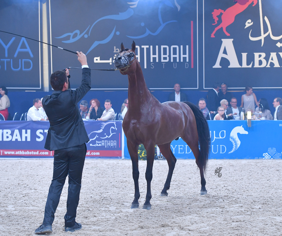 FA El Rasheem Charity Auction