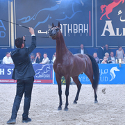 FA El Rasheem Charity Auction