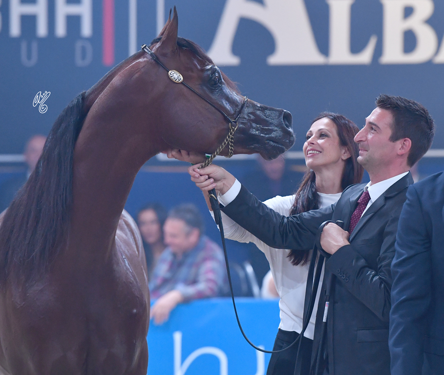 FA El Rasheem Charity Auction