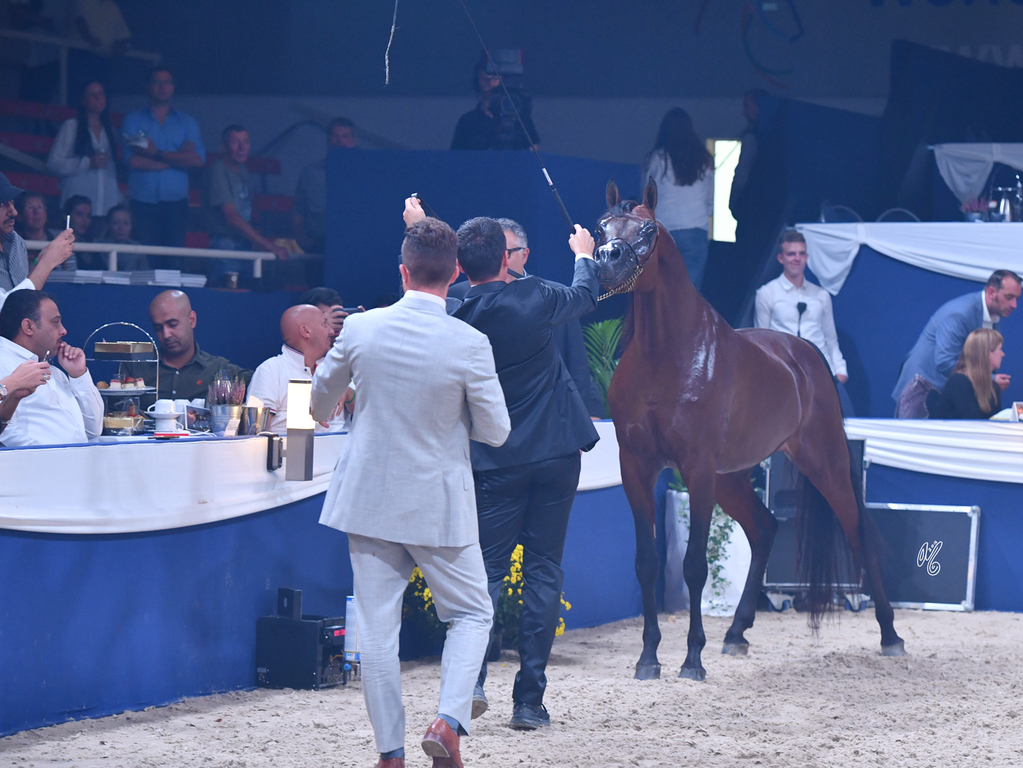 FA El Rasheem Charity Auction