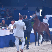 FA El Rasheem Charity Auction