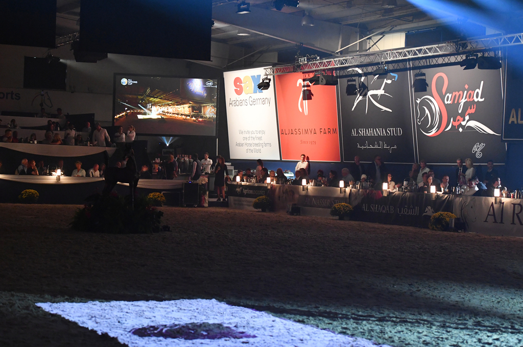 Lisa Abraham: The 2016 All Nations Cup Photo Album