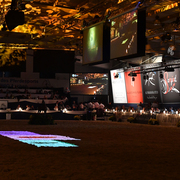 Lisa Abraham: The 2016 All Nations Cup Photo Album