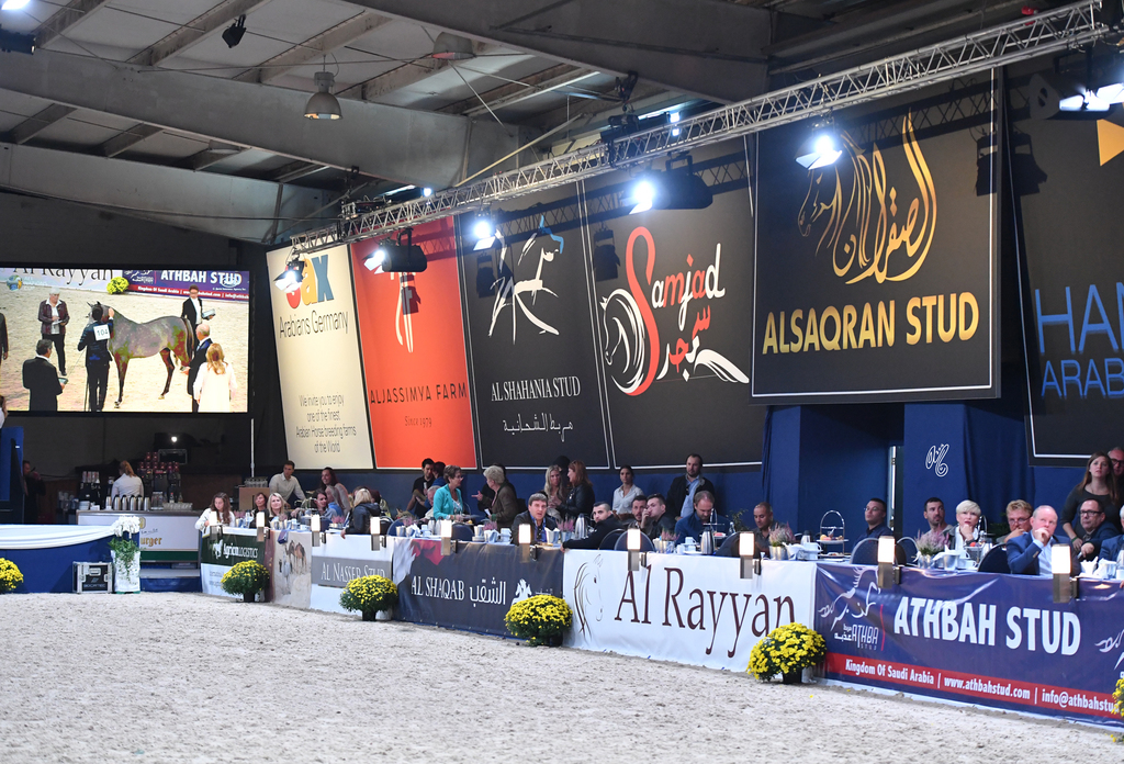 Lisa Abraham: The 2016 All Nations Cup Photo Album