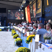 Lisa Abraham: The 2016 All Nations Cup Photo Album