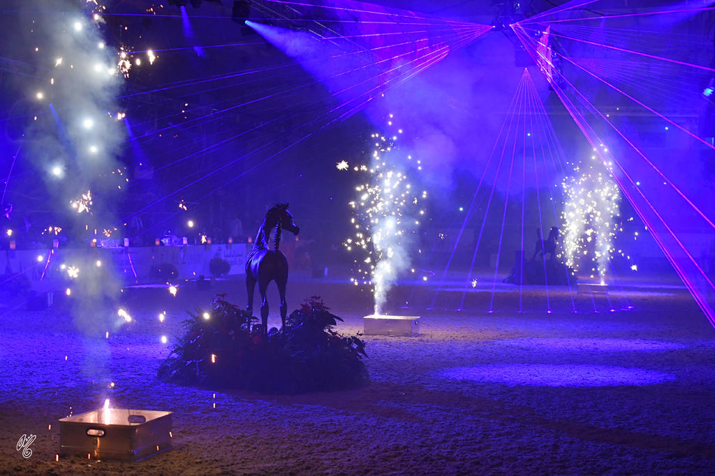 Lisa Abraham: The 2016 All Nations Cup Photo Album