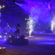 Lisa Abraham: The 2016 All Nations Cup Photo Album