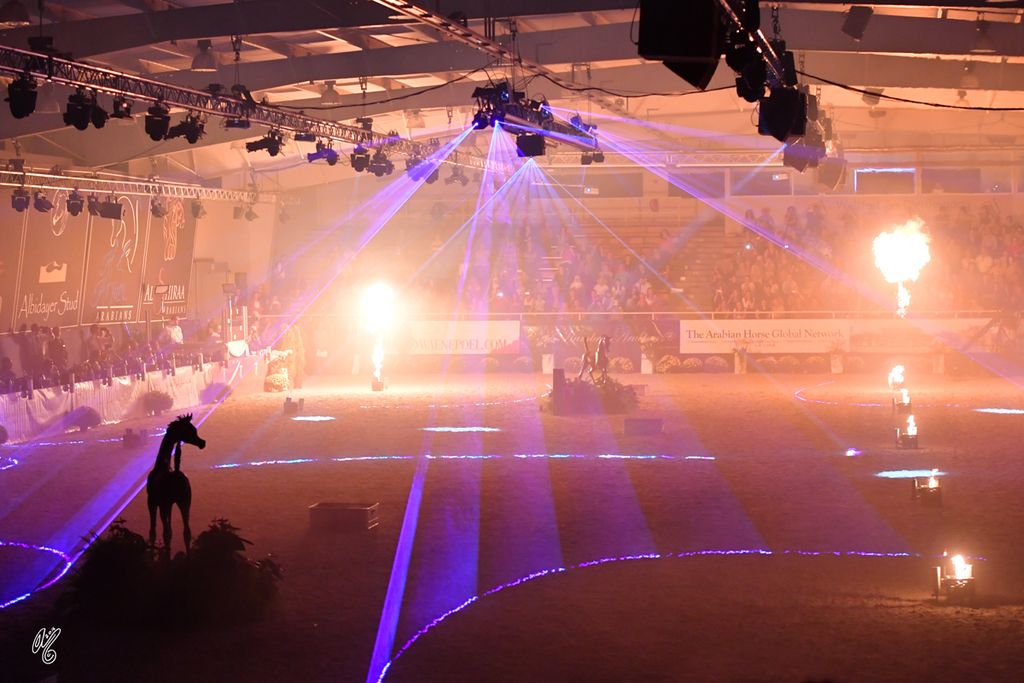 Lisa Abraham: The 2016 All Nations Cup Photo Album