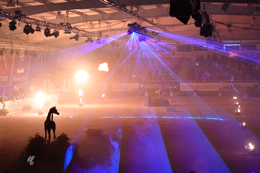 Lisa Abraham: The 2016 All Nations Cup Photo Album