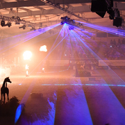 Lisa Abraham: The 2016 All Nations Cup Photo Album