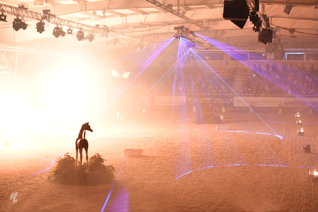 Lisa Abraham: The 2016 All Nations Cup Photo Album