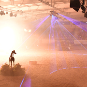 Lisa Abraham: The 2016 All Nations Cup Photo Album