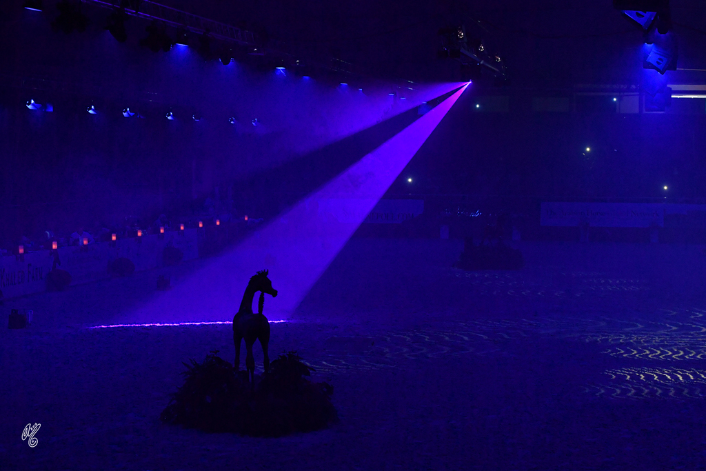 Lisa Abraham: The 2016 All Nations Cup Photo Album