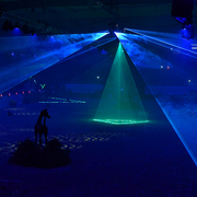 Lisa Abraham: The 2016 All Nations Cup Photo Album