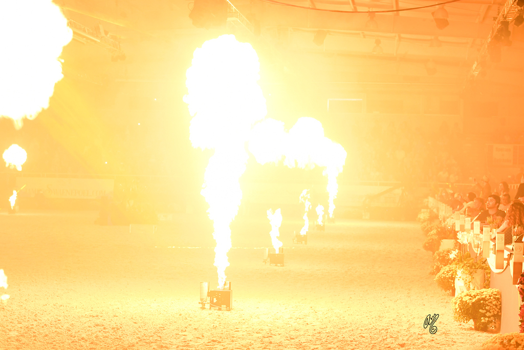 Lisa Abraham: The 2016 All Nations Cup Photo Album