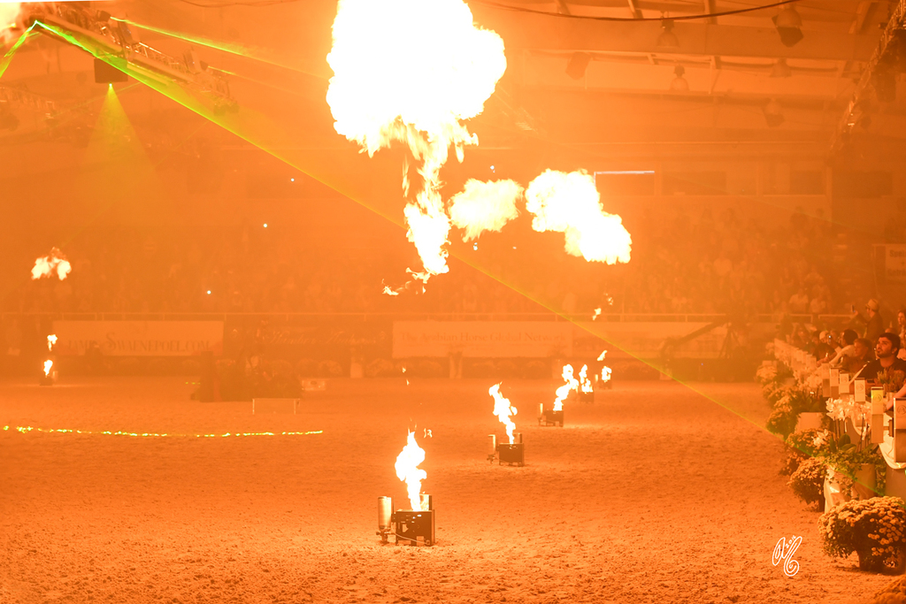 Lisa Abraham: The 2016 All Nations Cup Photo Album