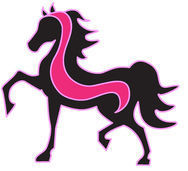 Pink Ribbon Classic Charity Horse Show