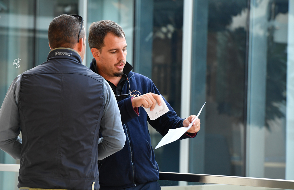 Lisa Abraham: Al Shaqab Stud: A Gathering of Friends