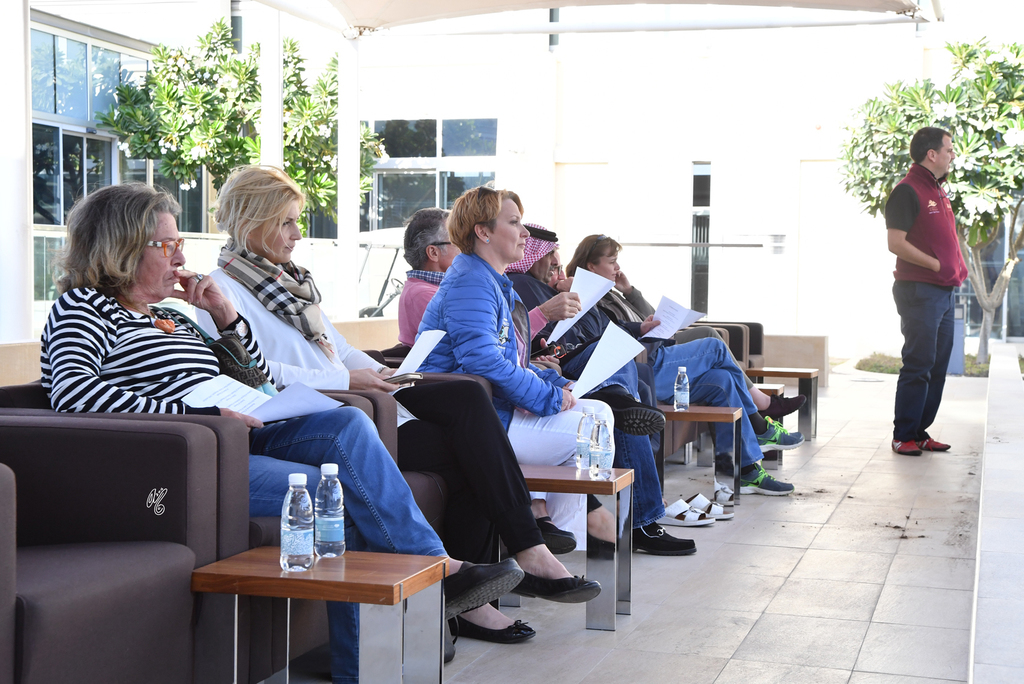 Lisa Abraham: Al Shaqab Stud: A Gathering of Friends