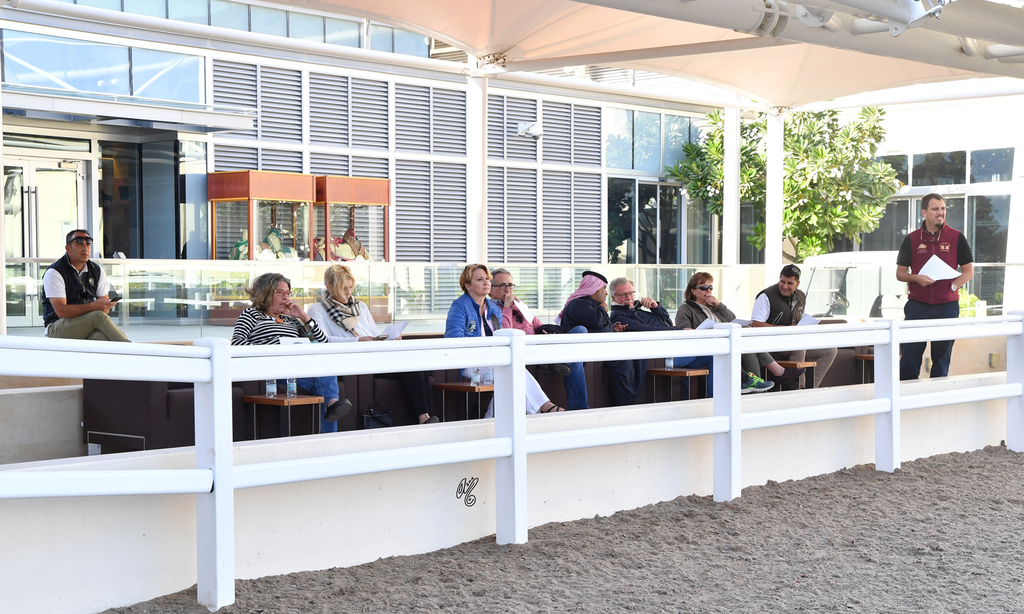 Lisa Abraham: Al Shaqab Stud: A Gathering of Friends