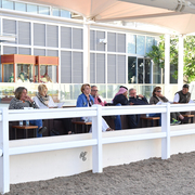 Lisa Abraham: Al Shaqab Stud: A Gathering of Friends