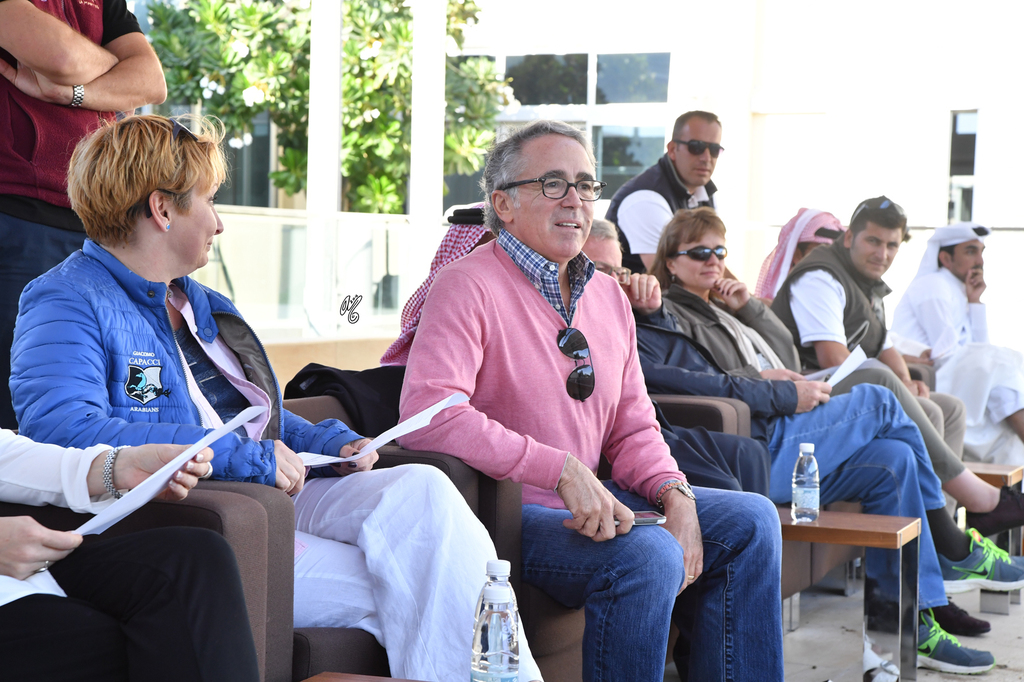 Lisa Abraham: Al Shaqab Stud: A Gathering of Friends