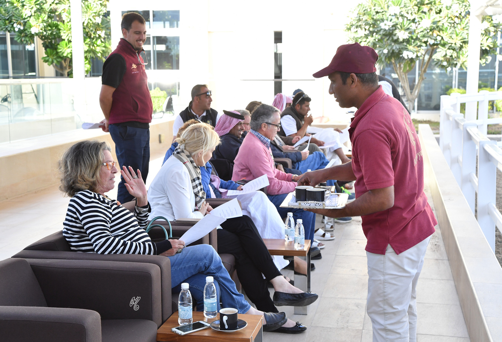 Lisa Abraham: Al Shaqab Stud: A Gathering of Friends