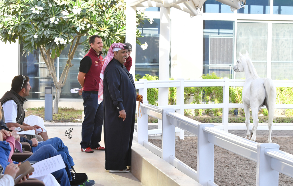 with Al Adeed Al Shaqab 